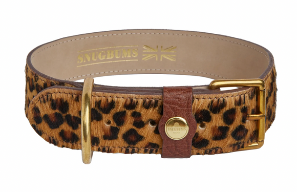 Leopard Print Leather Dog collar