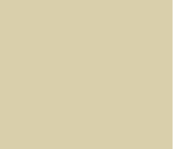 Stone-Mid-Cool 66 by Little Greene Paint co