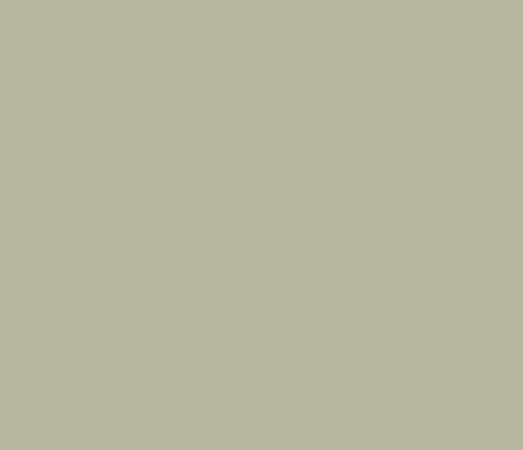 Tracery 11 78  by Little Greene Paint co